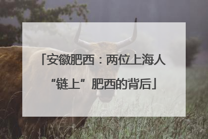 安徽肥西：两位上海人“链上”肥西的背后