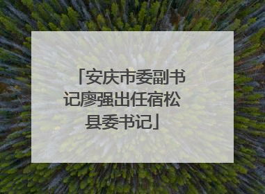 安庆市委副书记廖强出任宿松县委书记