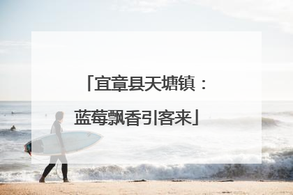 宜章县天塘镇：蓝莓飘香引客来