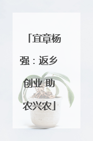 宜章杨强：返乡创业 助农兴农