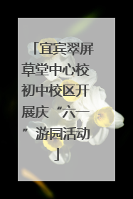 宜宾翠屏草堂中心校初中校区开展庆“六一”游园活动