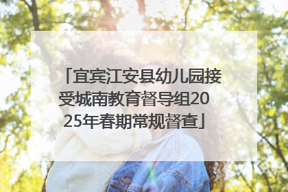 宜宾江安县幼儿园接受城南教育督导组2025年春期常规督查