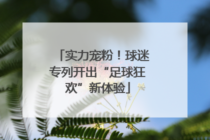 实力宠粉！球迷专列开出“足球狂欢”新体验