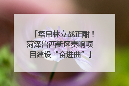 塔吊林立战正酣！菏泽鲁西新区奏响项目建设“奋进曲”