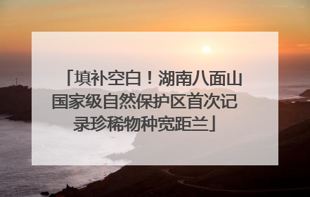 填补空白！湖南八面山国家级自然保护区首次记录珍稀物种宽距兰