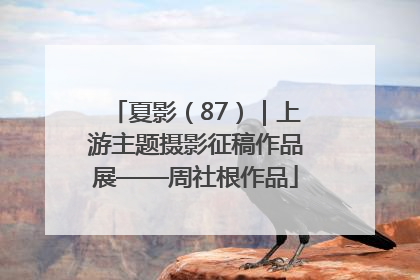 夏影（87）｜上游主题摄影征稿作品展——周社根作品