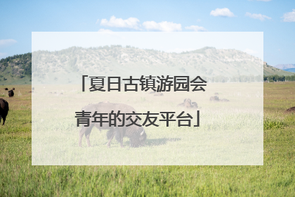夏日古镇游园会 青年的交友平台