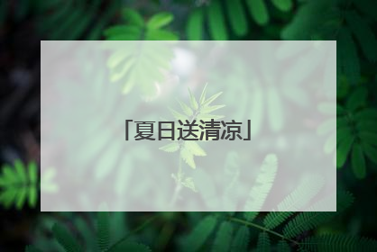 夏日送清凉