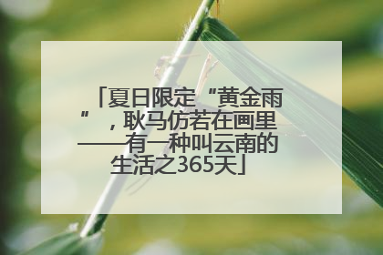 夏日限定“黄金雨”，耿马仿若在画里——有一种叫云南的生活之365天