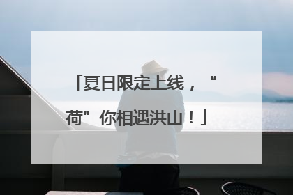 夏日限定上线，“荷”你相遇洪山！