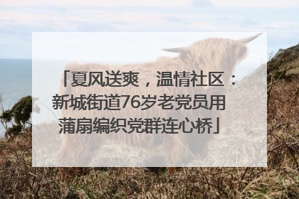 夏风送爽，温情社区：新城街道76岁老党员用蒲扇编织党群连心桥