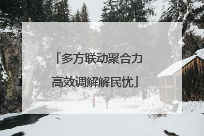 多方联动聚合力 高效调解解民忧