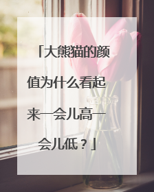 大熊猫的颜值为什么看起来一会儿高一会儿低？