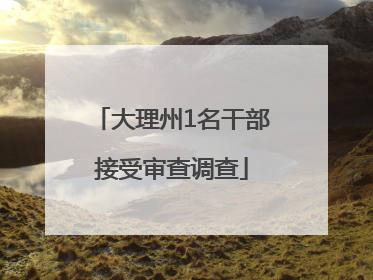 大理州1名干部接受审查调查