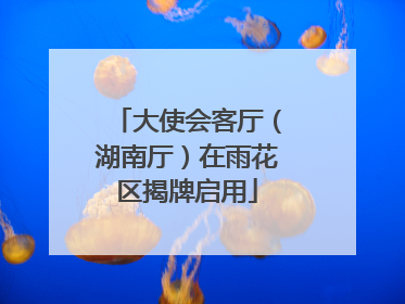 大使会客厅（湖南厅）在雨花区揭牌启用