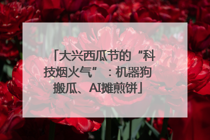 大兴西瓜节的“科技烟火气”：机器狗搬瓜、AI摊煎饼