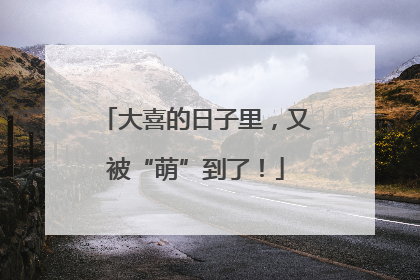 大喜的日子里，又被“萌”到了！