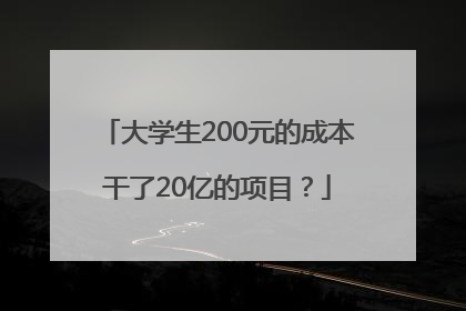 大学生200元的成本干了20亿的项目？