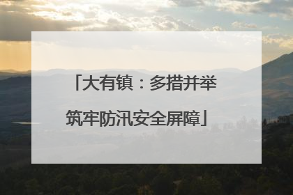 大有镇：多措并举筑牢防汛安全屏障