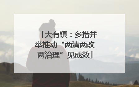 大有镇：多措并举推动“两清两改两治理”见成效