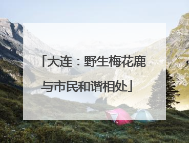 大连：野生梅花鹿与市民和谐相处