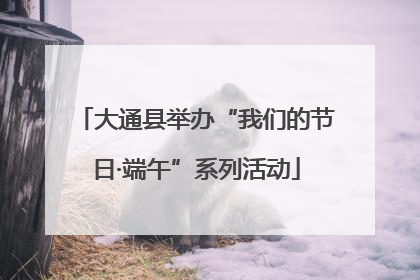 大通县举办“我们的节日·端午”系列活动