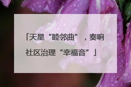 天星“睦邻曲”，奏响社区治理“幸福音”