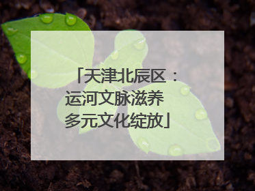 天津北辰区：运河文脉滋养 多元文化绽放