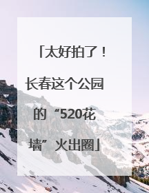 太好拍了！长春这个公园的“520花墙”火出圈