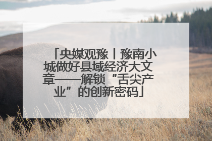 央媒观豫丨豫南小城做好县域经济大文章——解锁“舌尖产业”的创新密码