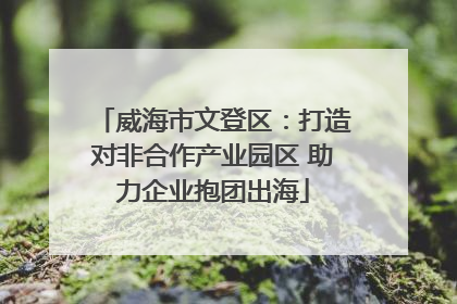 威海市文登区：打造对非合作产业园区 助力企业抱团出海
