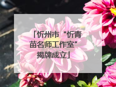 忻州市“忻青苗名师工作室”揭牌成立