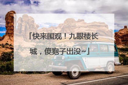 快来围观！九眼楼长城，傻狍子出没~