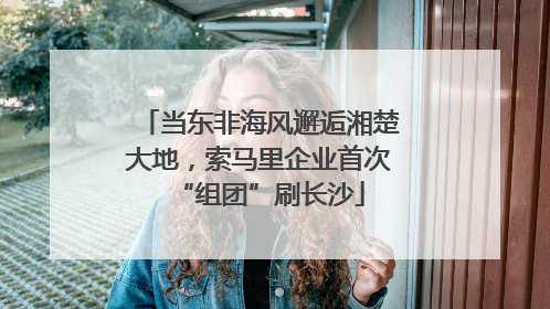 当东非海风邂逅湘楚大地，索马里企业首次“组团”刷长沙