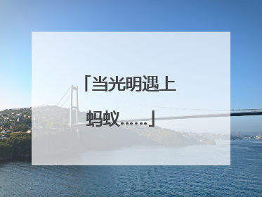 当光明遇上蚂蚁……