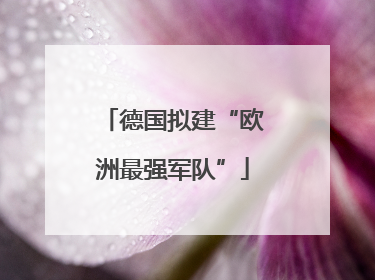 德国拟建“欧洲最强军队”