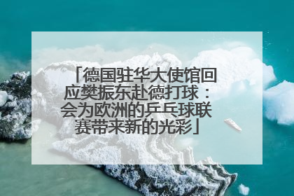 德国驻华大使馆回应樊振东赴德打球：会为欧洲的乒乓球联赛带来新的光彩