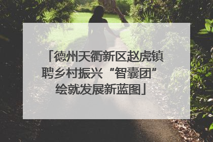 德州天衢新区赵虎镇聘乡村振兴“智囊团” 绘就发展新蓝图