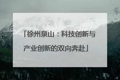 徐州泉山：科技创新与产业创新的双向奔赴