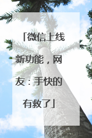 微信上线新功能，网友：手快的有救了