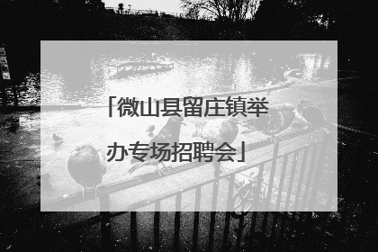 微山县留庄镇举办专场招聘会