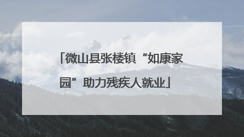 微山县张楼镇“如康家园”助力残疾人就业