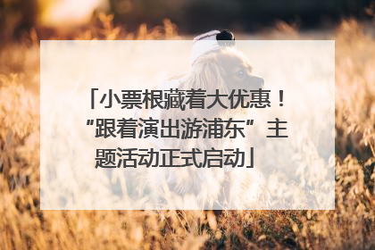 小票根藏着大优惠！“跟着演出游浦东”主题活动正式启动