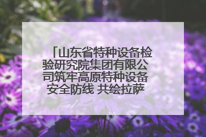 山东省特种设备检验研究院集团有限公司筑牢高原特种设备安全防线 共绘拉萨美好生活画卷