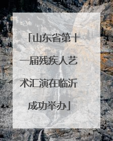 山东省第十一届残疾人艺术汇演在临沂成功举办