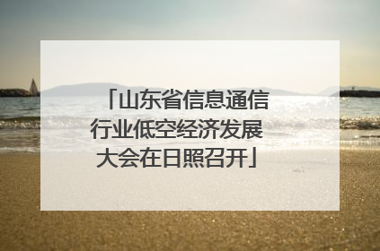 山东省信息通信行业低空经济发展大会在日照召开