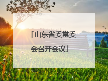 山东省委常委会召开会议