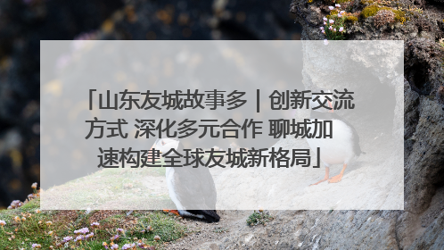 山东友城故事多｜创新交流方式 深化多元合作 聊城加速构建全球友城新格局