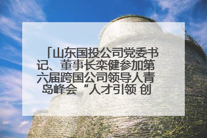 山东国投公司党委书记、董事长栾健参加第六届跨国公司领导人青岛峰会“人才引领 创新驱动”人力资源高质量发展对话会