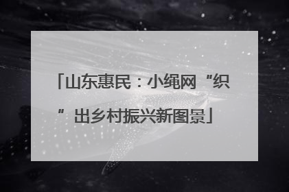 山东惠民：小绳网“织”出乡村振兴新图景